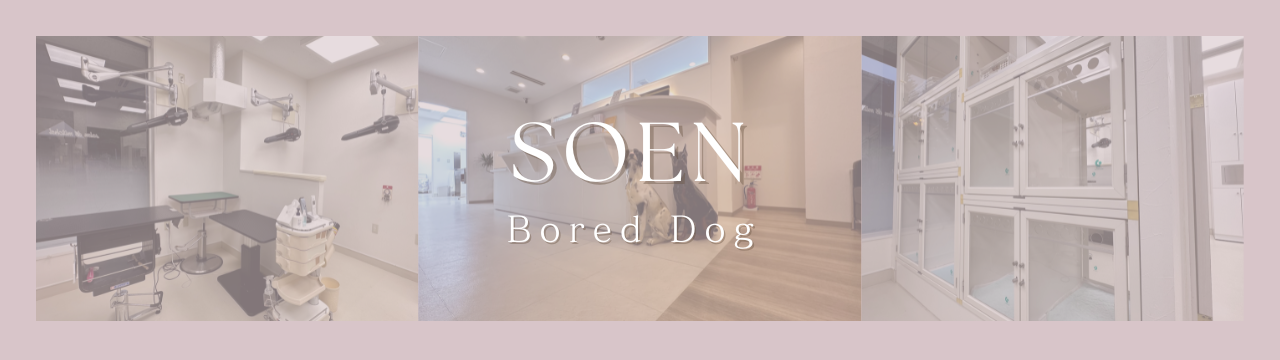 くすみピンク 白 フェミニン モーニングルーティーン youtubeサムネイル画像のコピーのコピーのコピー