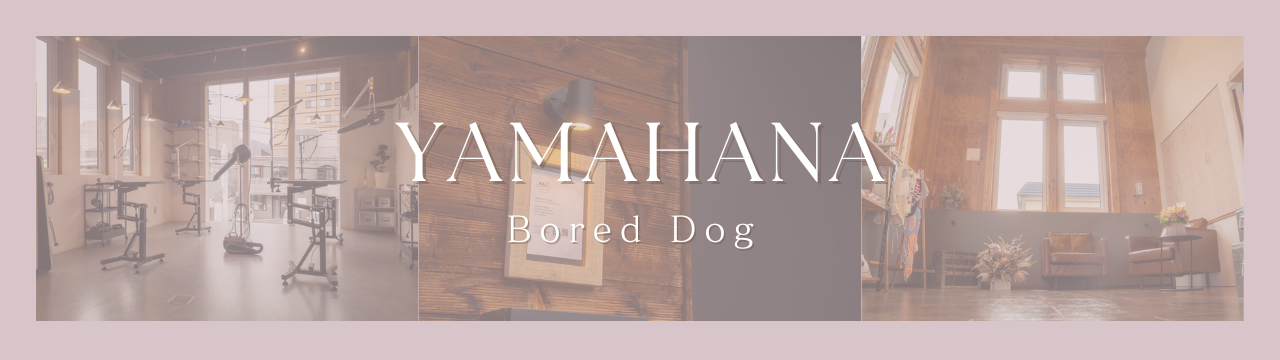 Bored Dog Yamahana